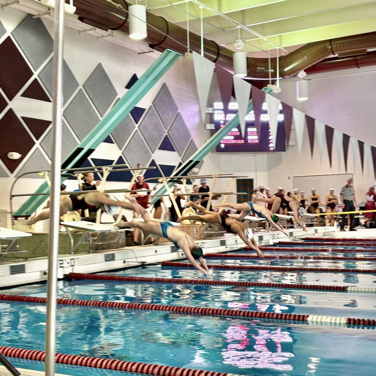 A competitive afternoon at today's CMHS girls varsity swim meet vs. Doherty HS - GO GAWKS🏊🏼♀️🏊🏽♀️🏊🏻♀️!!!