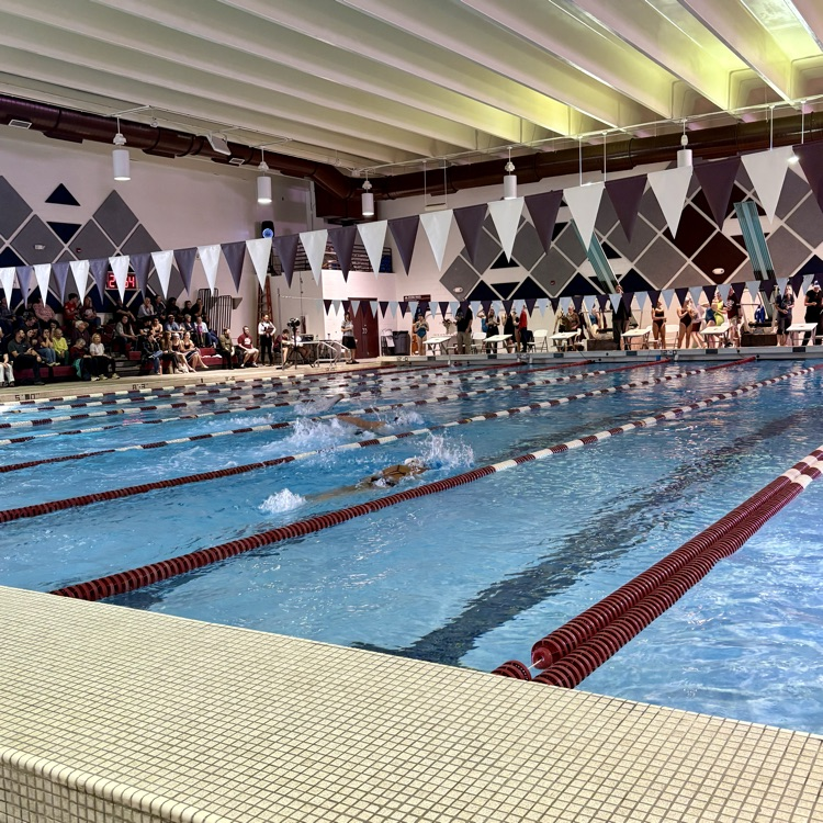 A competitive afternoon at today's CMHS girls varsity swim meet vs. Doherty HS - GO GAWKS🏊🏼♀️🏊🏽♀️🏊🏻♀️!!!