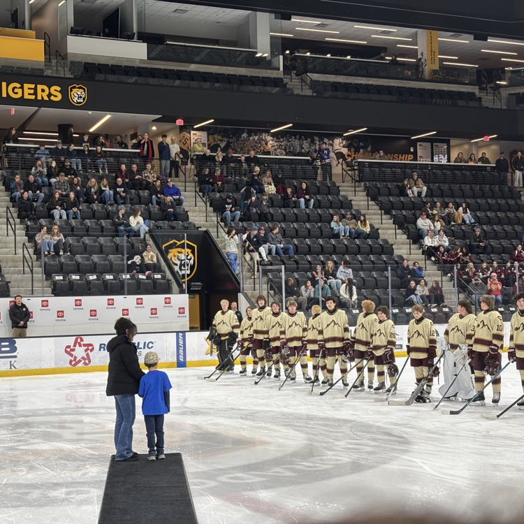 wish week hockey game