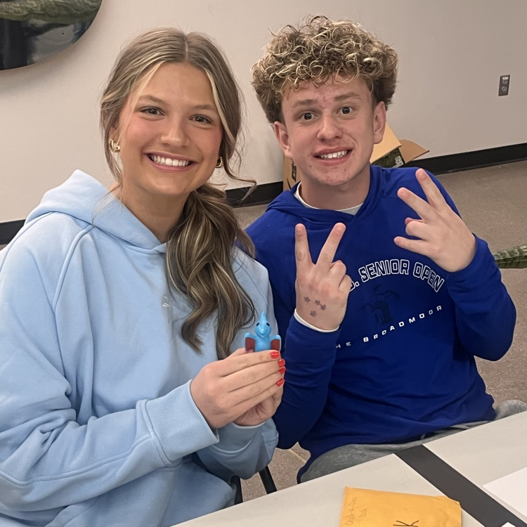 wish week hockey game