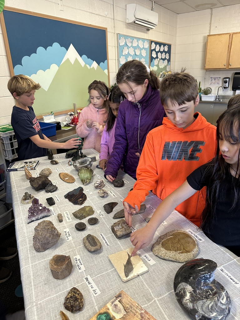 students looking at fossils