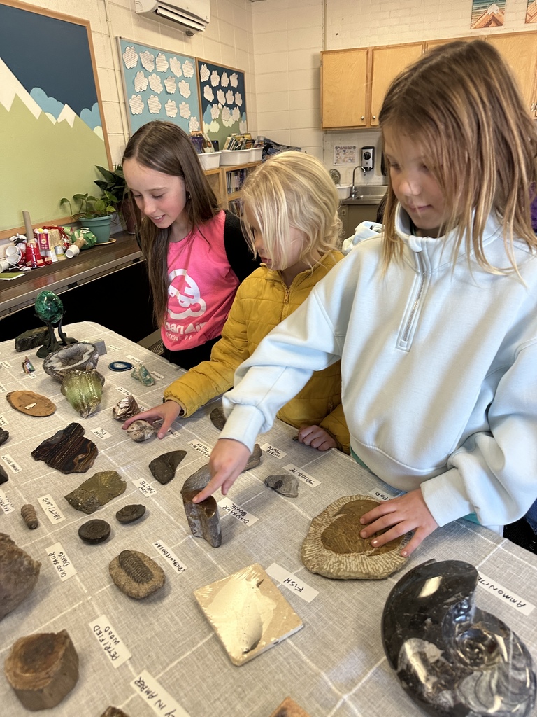 kids looking at rocks