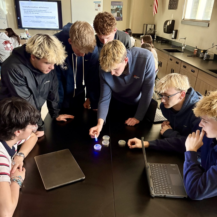 Our CMHS AP Bio students successfully transformed E. coli bacteria by introducing GFP (green fluorescent protein) from jellyfish—causing the bacteria to glow! 