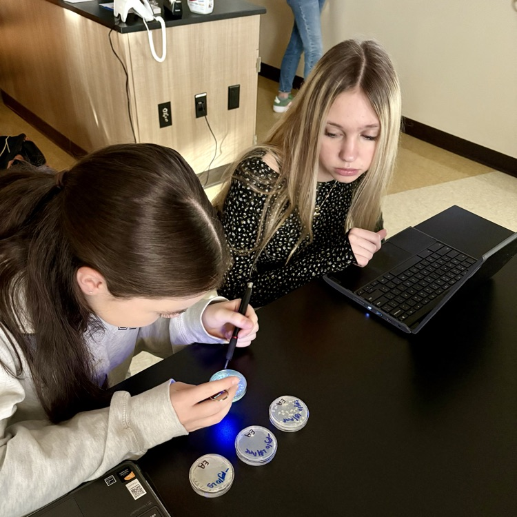 Our CMHS AP Bio students successfully transformed E. coli bacteria by introducing GFP (green fluorescent protein) from jellyfish—causing the bacteria to glow! 