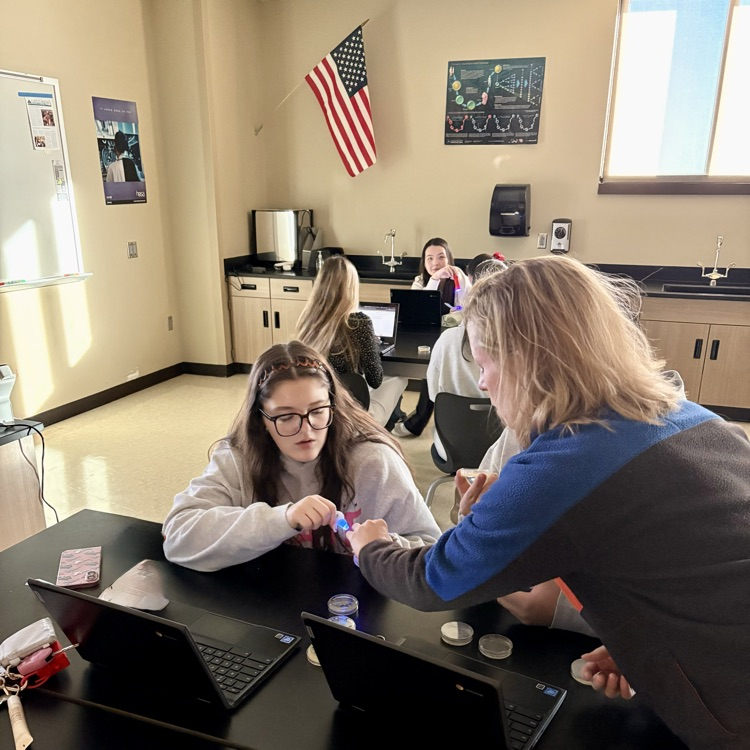 Our CMHS AP Bio students successfully transformed E. coli bacteria by introducing GFP (green fluorescent protein) from jellyfish—causing the bacteria to glow! 