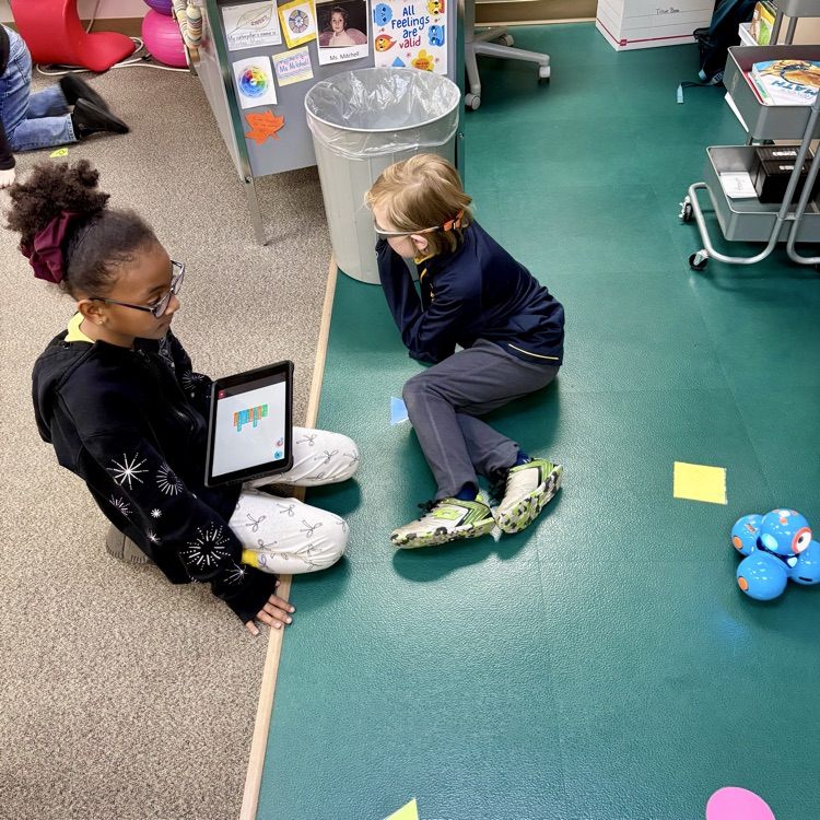 Gold Camp Elementary School 2nd graders engaged in coding and programming robots.