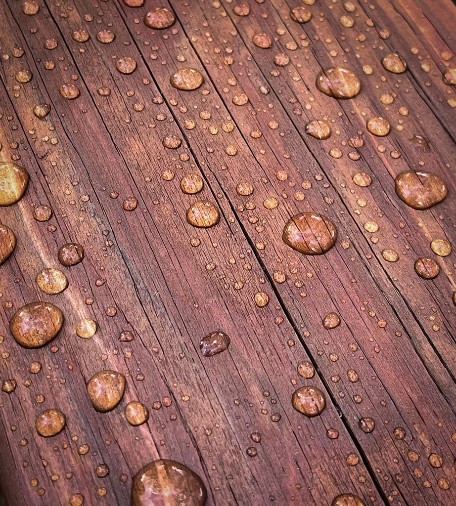 Water Droplets by Logan Brown