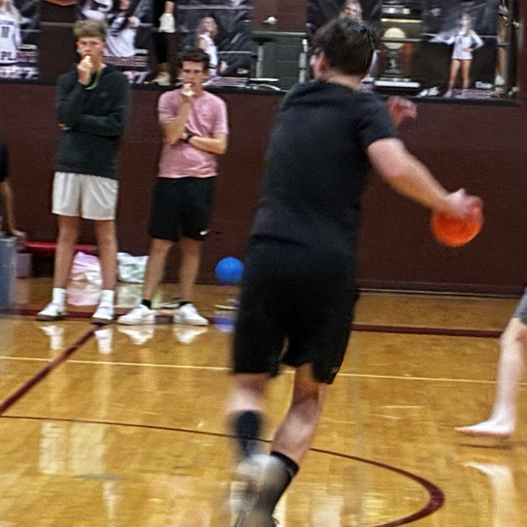 Dodgeball pic 1