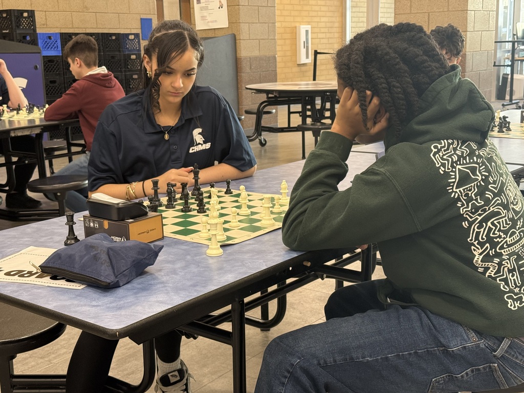 Happy International Chess Appreciation Day! ♟️💙