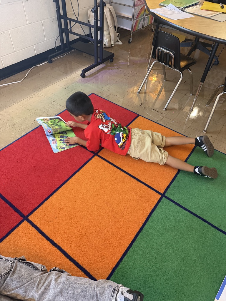 📚💙 Celebrating International Literacy Day at CHSD 170! 💙📚