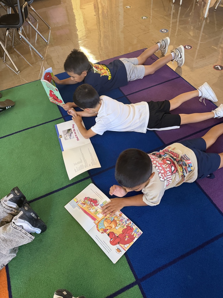 📚💙 Celebrating International Literacy Day at CHSD 170! 💙📚