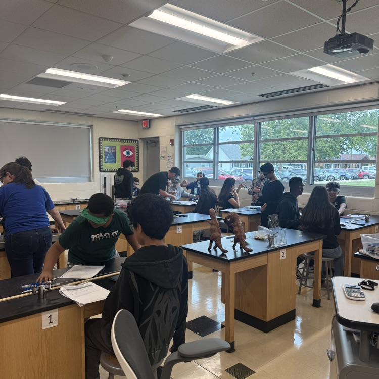 lab