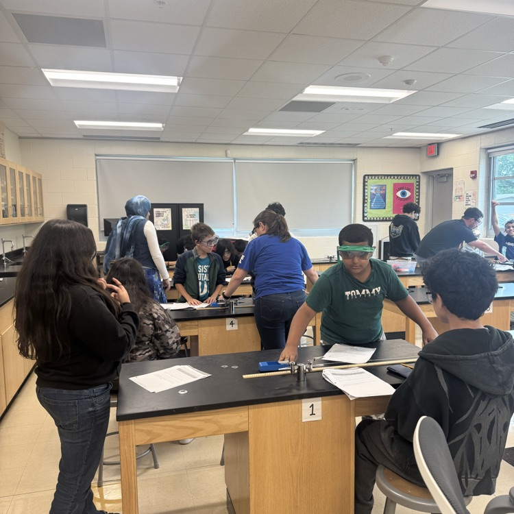 lab