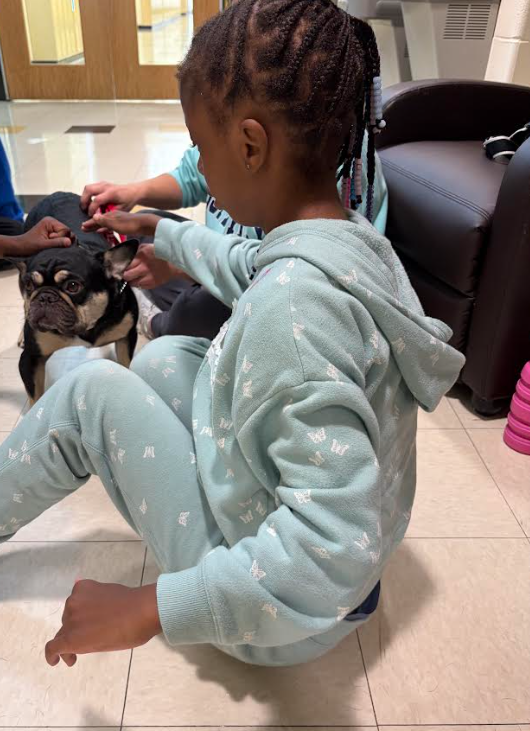 Fred the therapy dog stopped by!