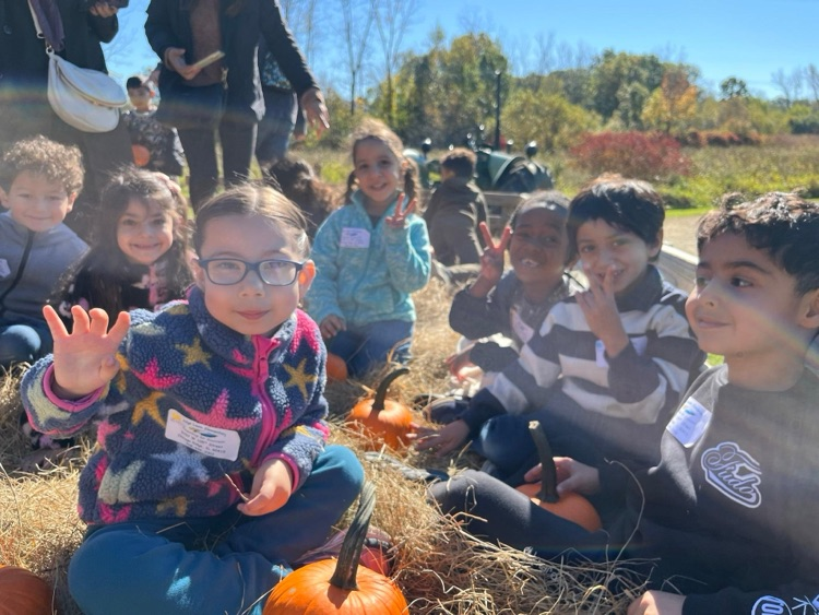 At the pumpkin farm
