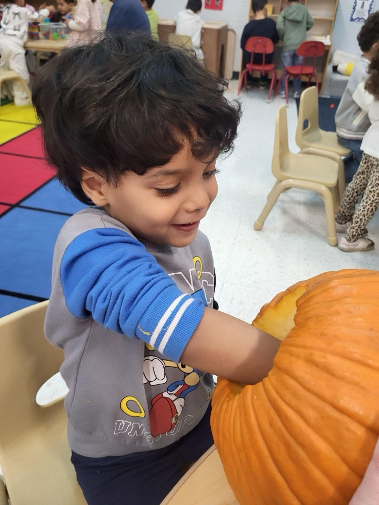 Exploring pumpkins