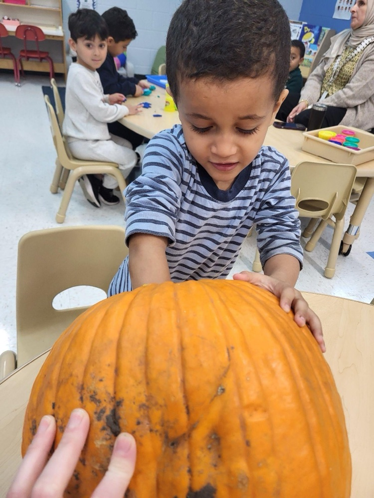 Exploring pumpkins