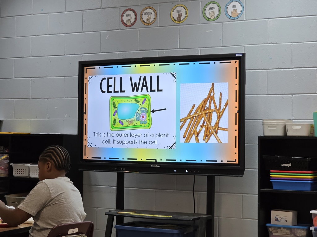 cell