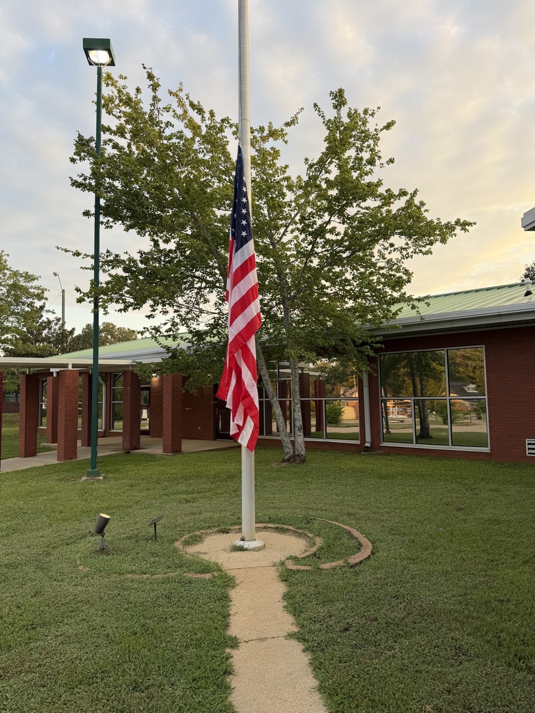 new flags