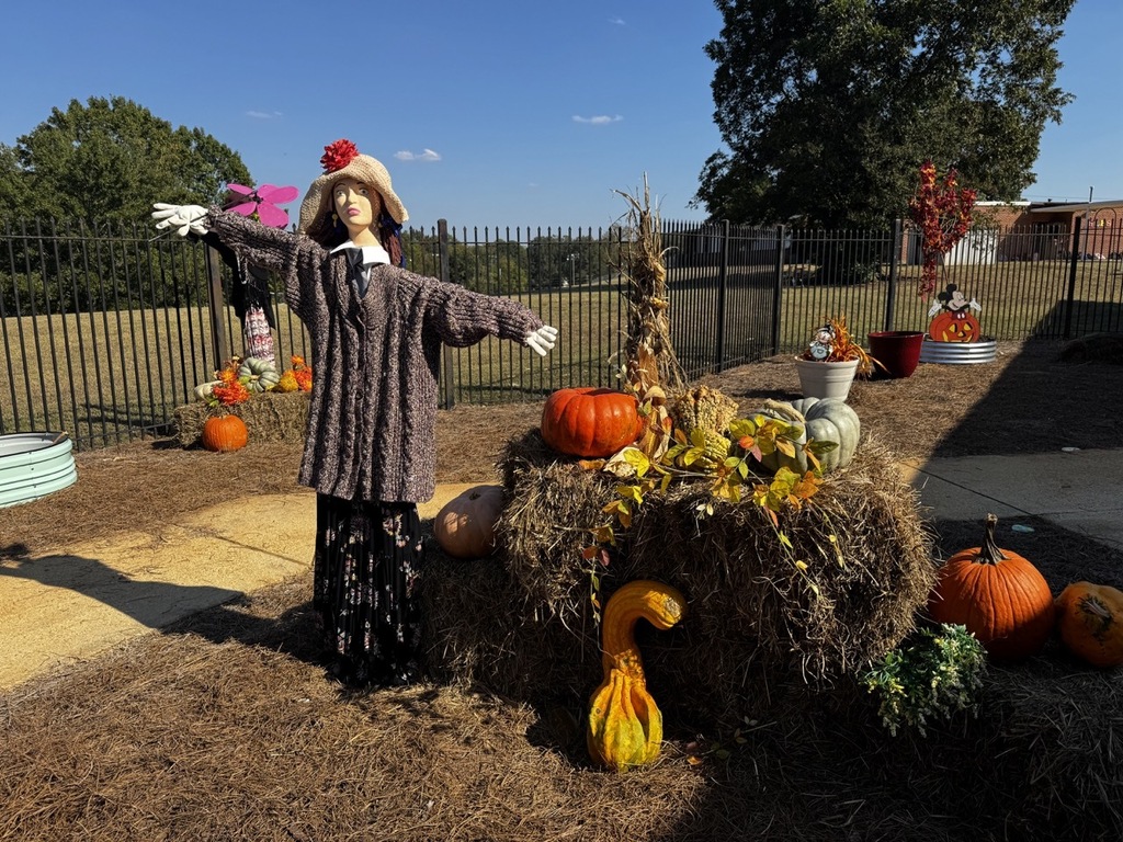Fall Garden