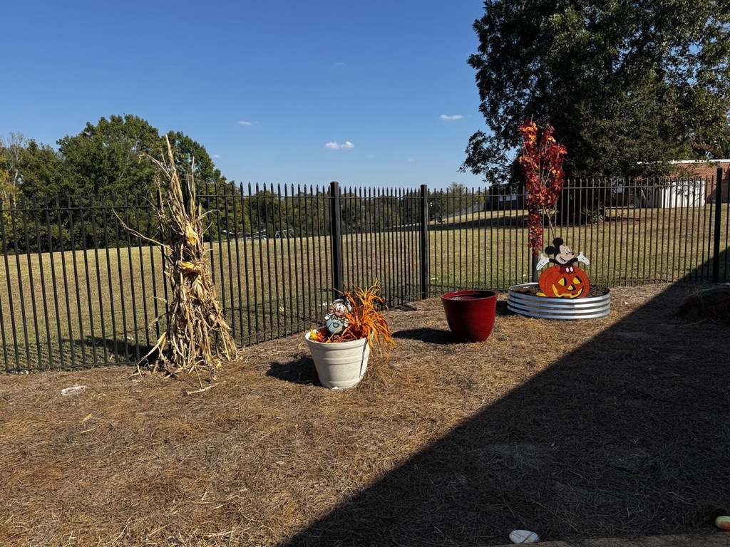 Fall Garden