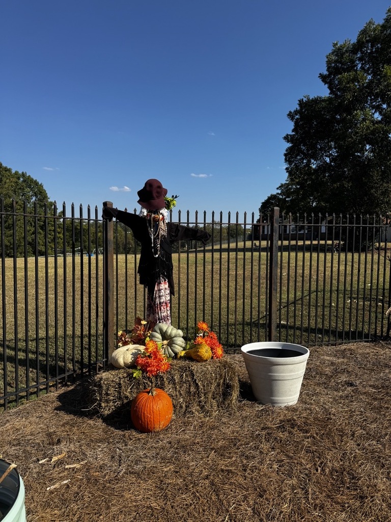 Fall Garden