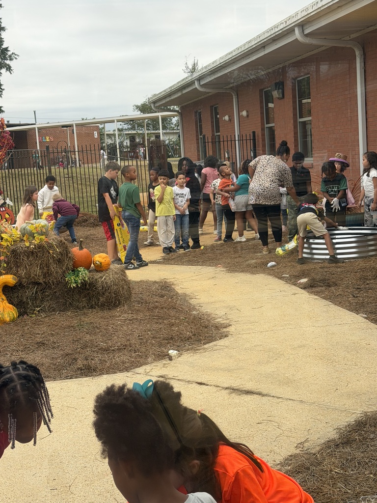 Fall Garden