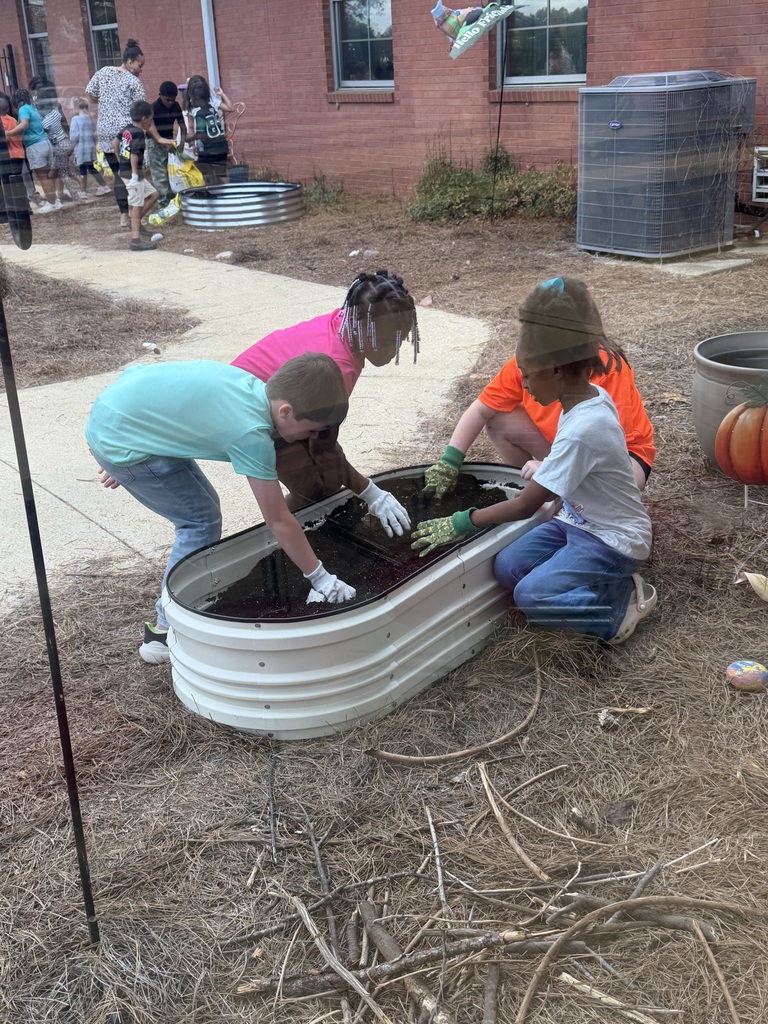 Fall Garden