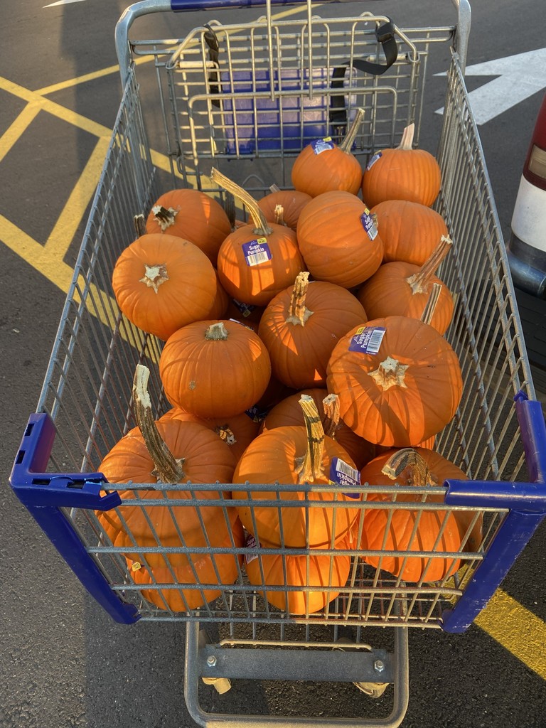 Pumpkins