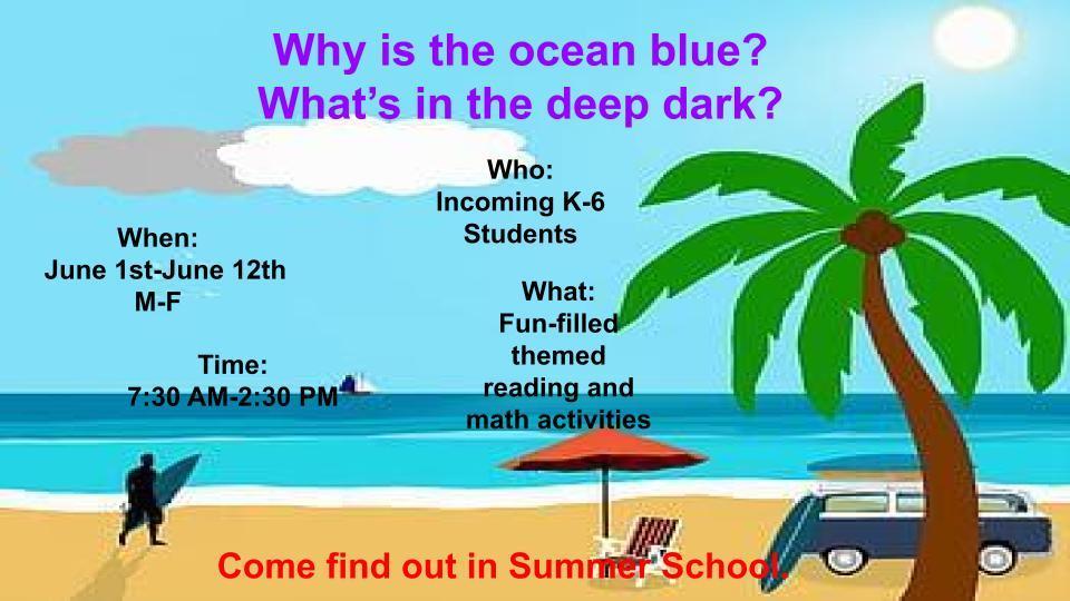 Summer School Poster
