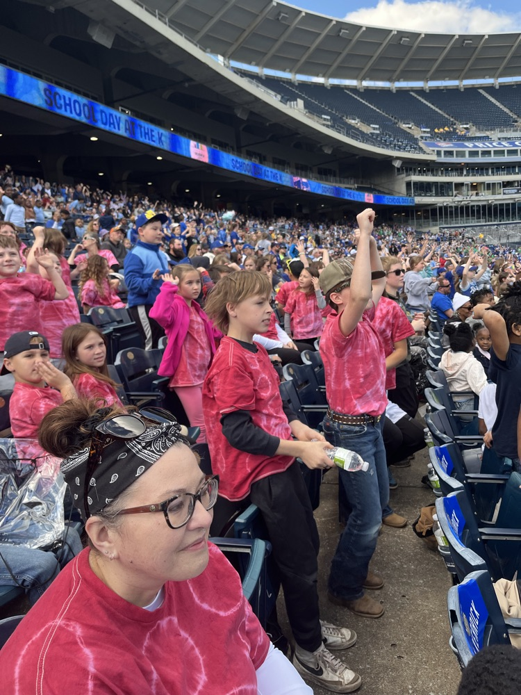 crowd 3