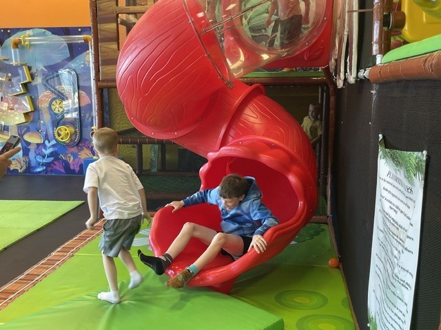 Field Trip 1