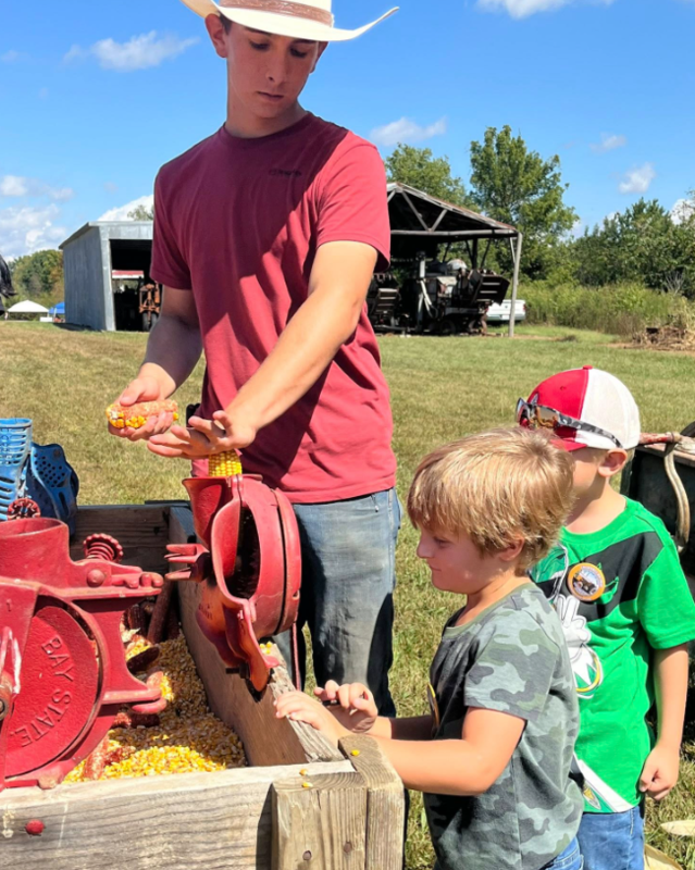 Corn 2