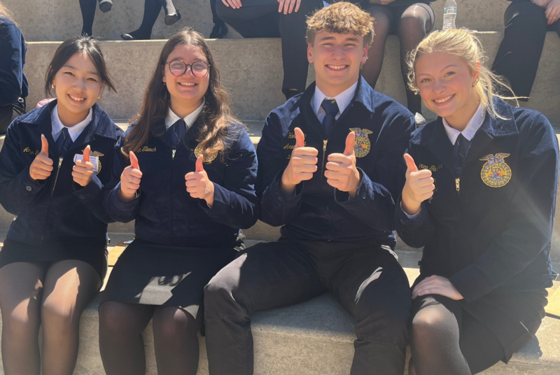 FFA State a