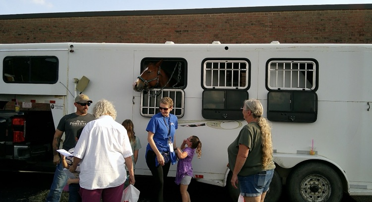 HORSE