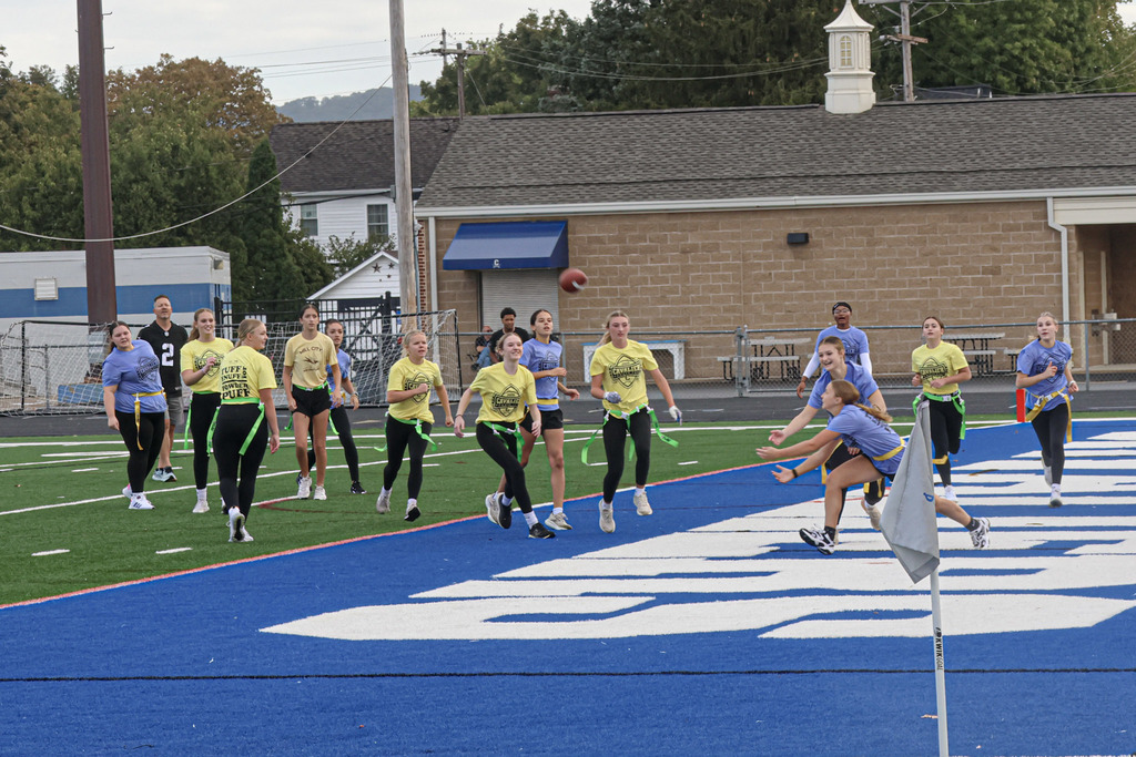 Powderpuff