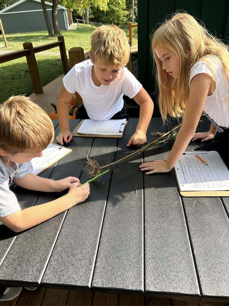 3rd grade field scientists