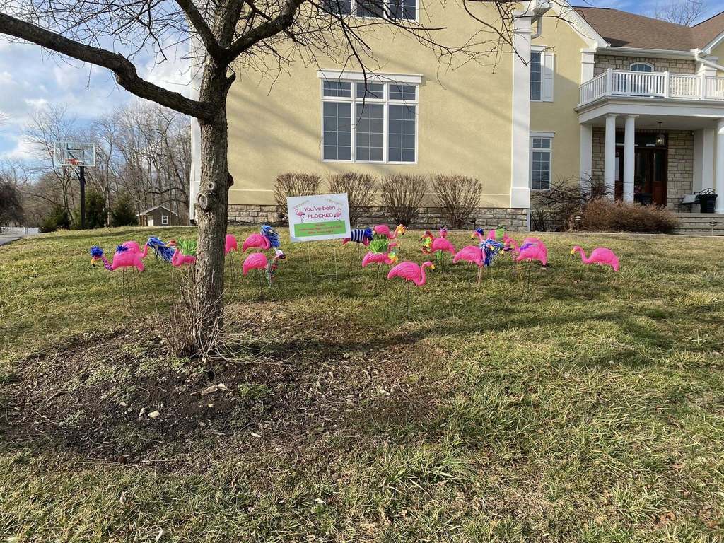 Prom Flamingos