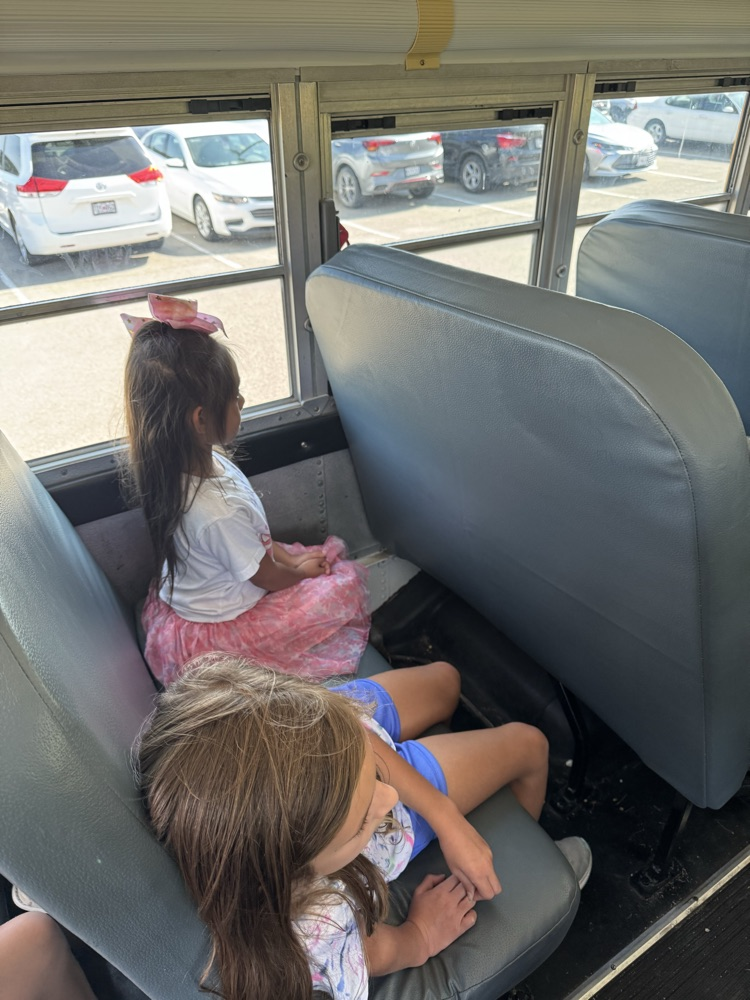 bus safety