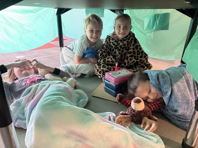 🏕️