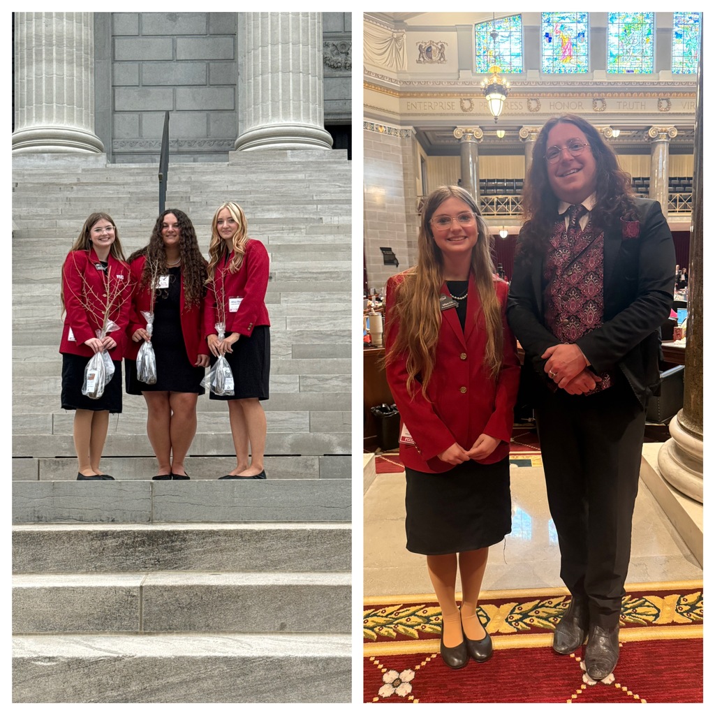 FCCLA members Kelly Hopper, Adrian Caselman & Adi Edds were 3 of 50 Missouri FCCLA members chosen to participate in the MO FCCLA Legislative Shadowing project in Jefferson City on April 22. Kelly Hopper and Adrian Caselman spent the day job shadowing Rep. Peggy McGaugh and Adi Edds shadowed Rep. Wick Thomas. All three got to attend committee meetings, be announced on the House floor and see the government at work.