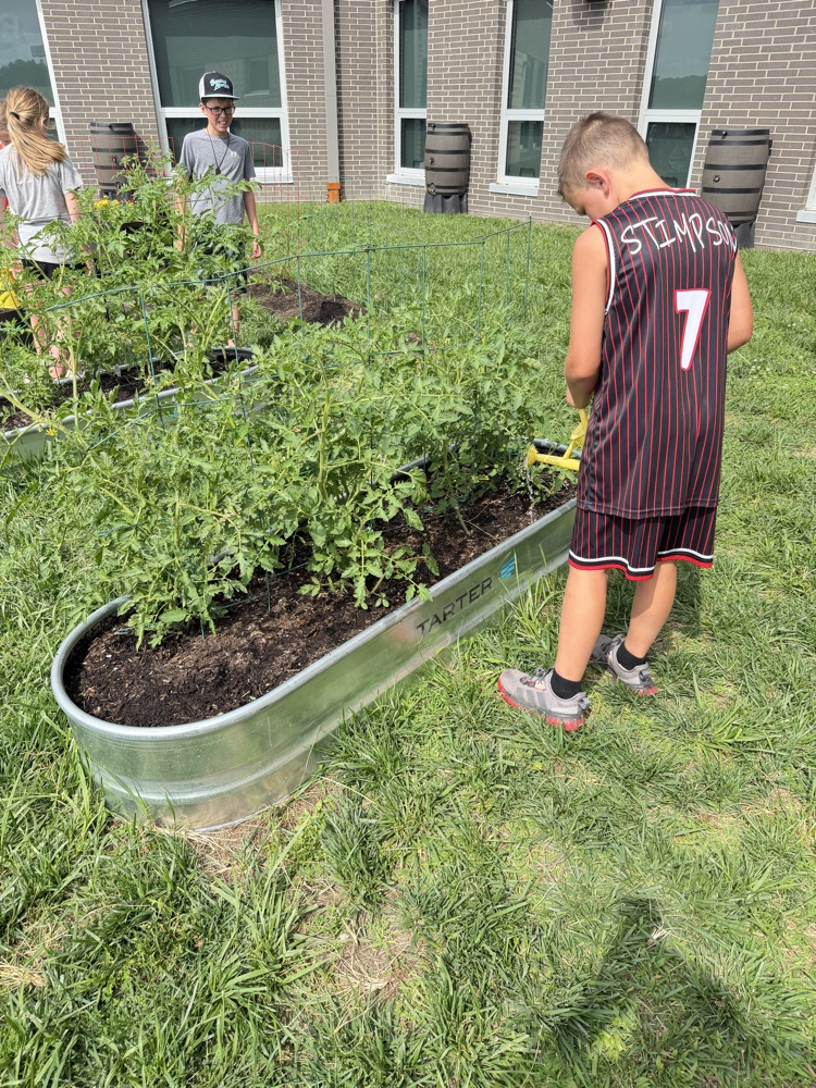 🌻