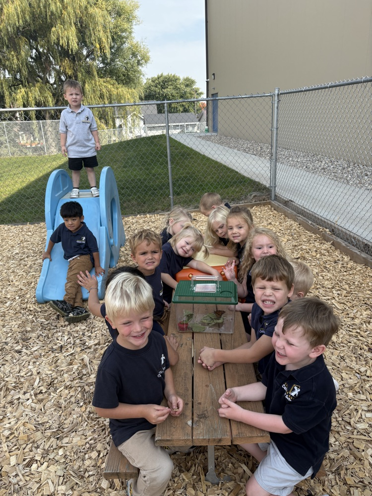 Learning social skills on the playground