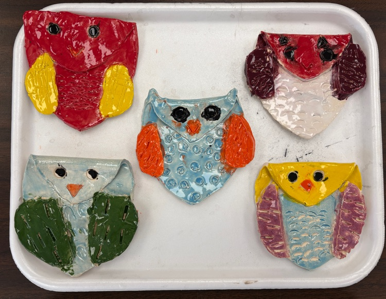 Second grade owls
