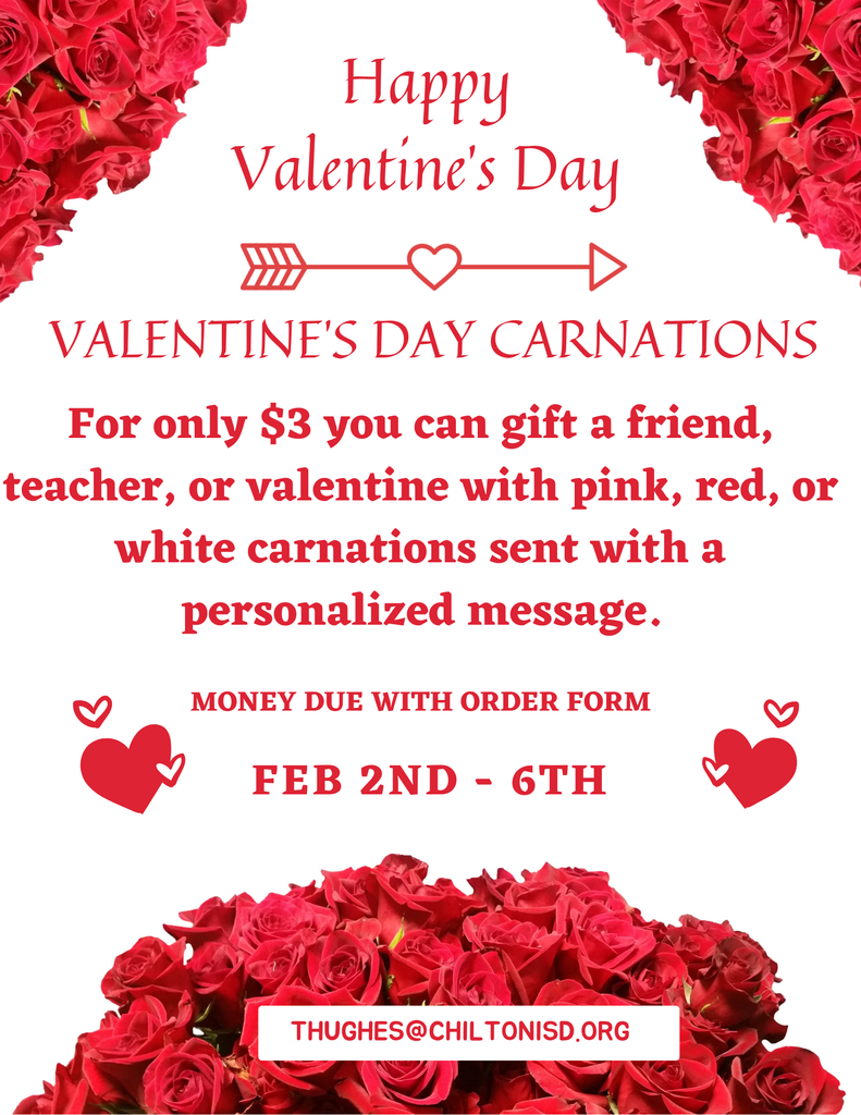 Red & White Roses Valentine Day Flyer (1)