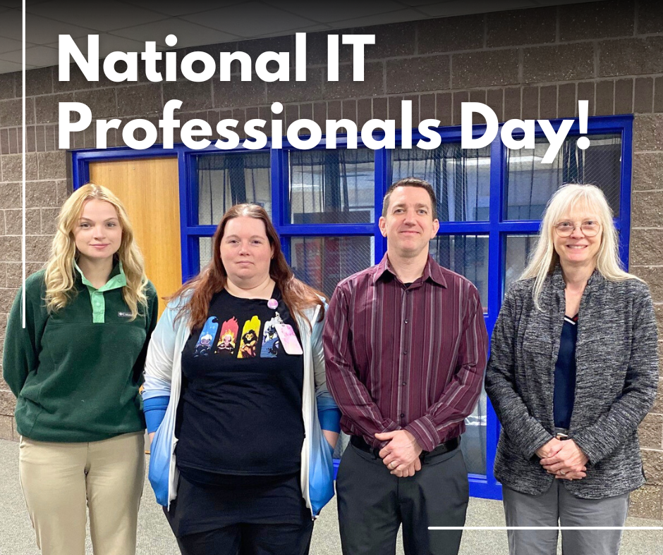 National IT Professionals Day