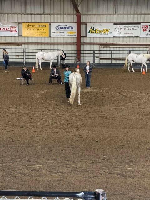 Equestrian Regionals