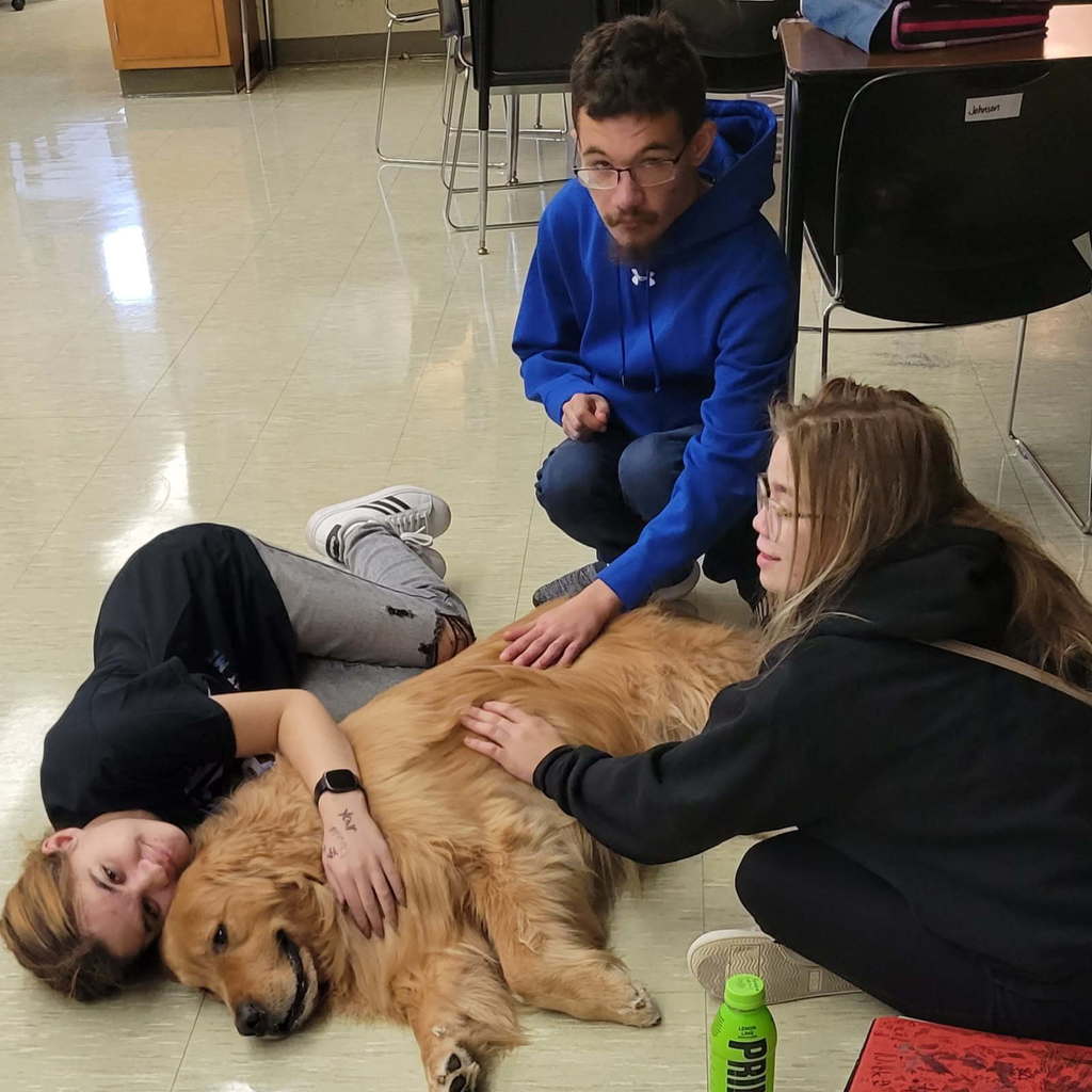 Therapy Dogs: Meet Murphy & Louie!
