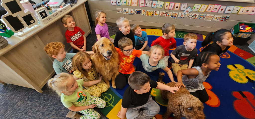 Therapy Dogs: Meet Murphy & Louie!