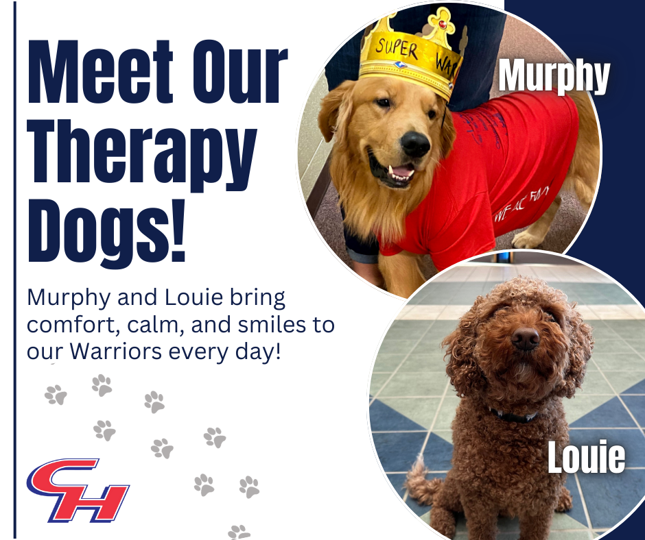 Therapy Dogs: Meet Murphy & Louie!